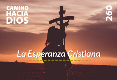 Edición CHD 260