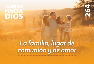 Edición CHD 264