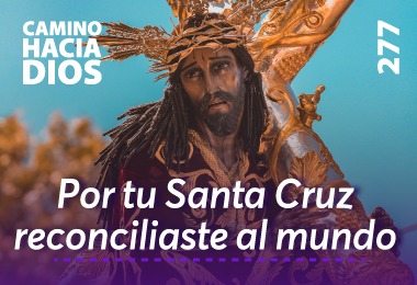 Edición CHD 277