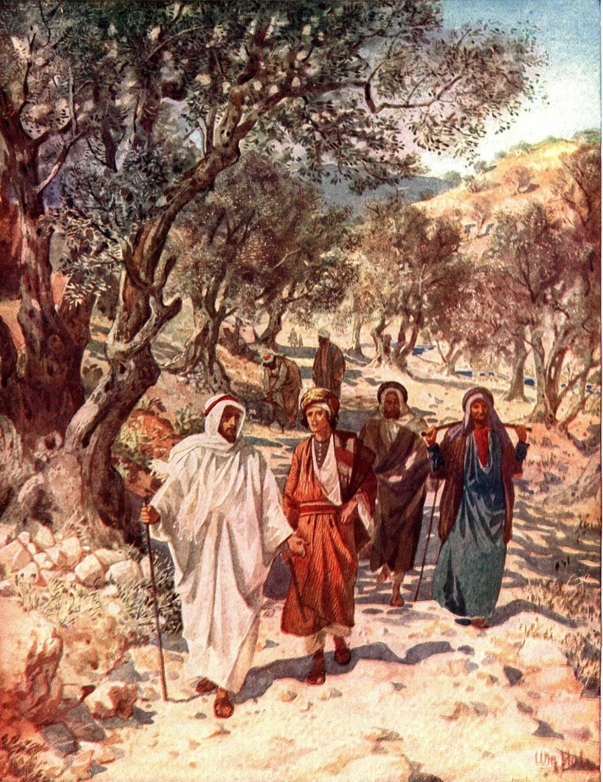 Miércoles de la VIII Semana del Tiempo Ordinario (II)